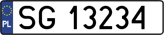 SG13234