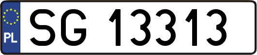 SG13313