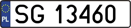 SG13460