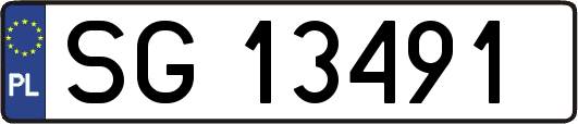 SG13491