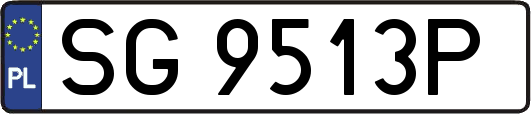 SG9513P