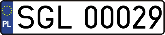 SGL00029