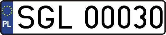 SGL00030