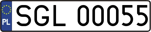 SGL00055