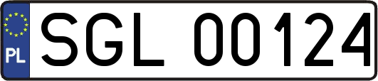 SGL00124
