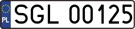 SGL00125