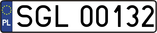 SGL00132