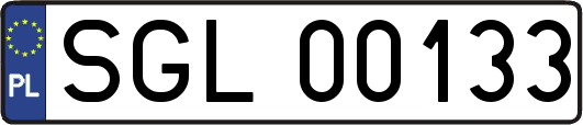 SGL00133