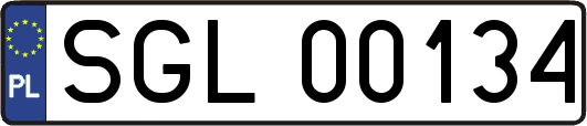SGL00134