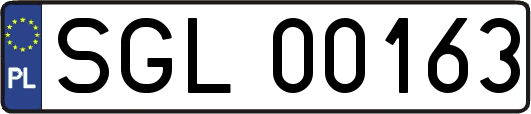 SGL00163