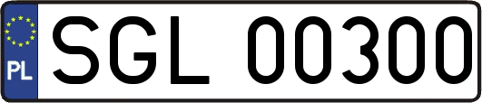 SGL00300