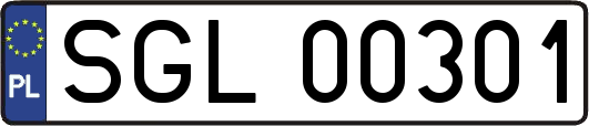 SGL00301