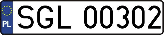 SGL00302