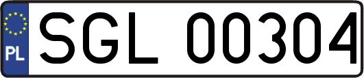 SGL00304