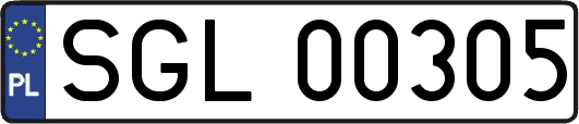 SGL00305