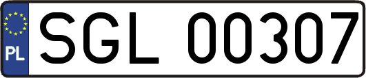 SGL00307