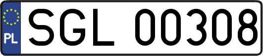 SGL00308