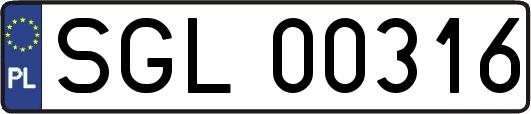 SGL00316