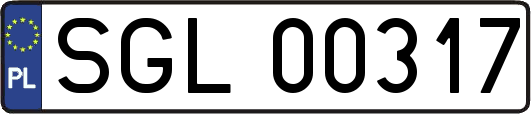 SGL00317
