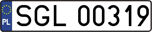 SGL00319