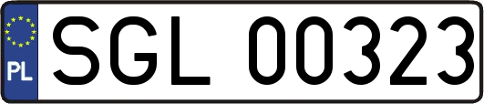 SGL00323