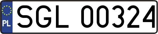 SGL00324