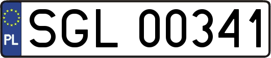 SGL00341