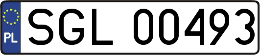 SGL00493