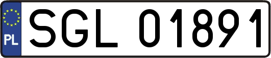 SGL01891
