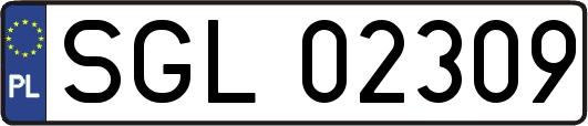 SGL02309