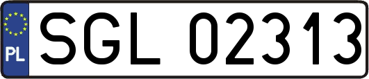 SGL02313