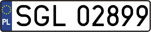 SGL02899