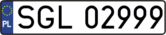 SGL02999