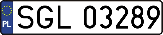 SGL03289
