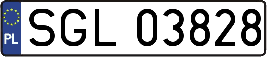 SGL03828
