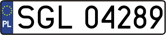 SGL04289