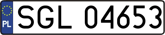 SGL04653