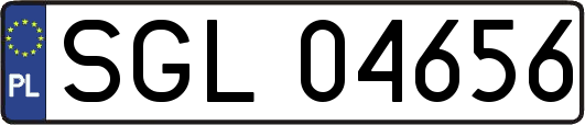 SGL04656