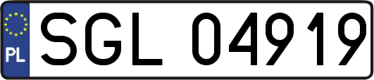 SGL04919