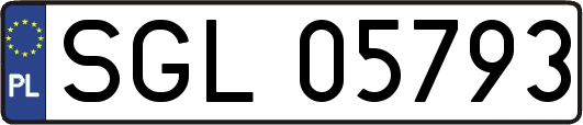 SGL05793