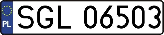 SGL06503