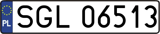 SGL06513