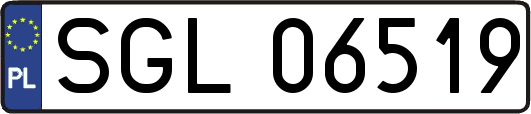 SGL06519