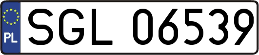 SGL06539