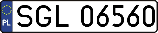 SGL06560