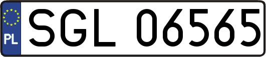 SGL06565