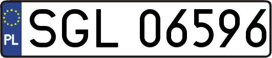 SGL06596