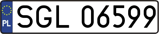 SGL06599