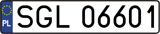 SGL06601