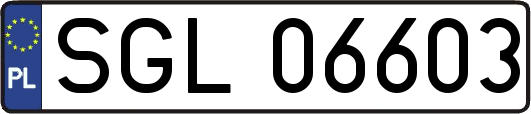 SGL06603
